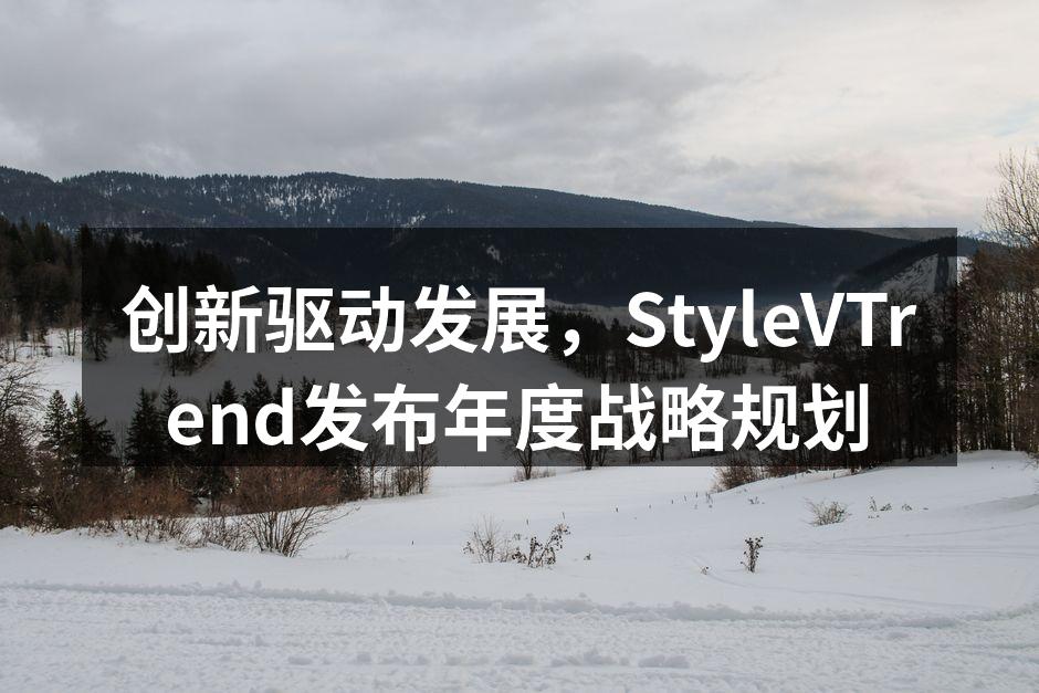 StyleVTrend年度战略规划大会现场