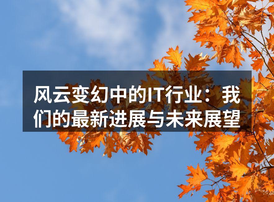 风云变幻中的IT行业:我们的最新进展与未来展望